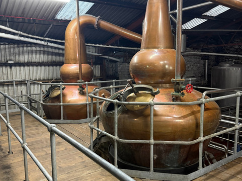 Dingle Distillery-丁格尔必去景点
