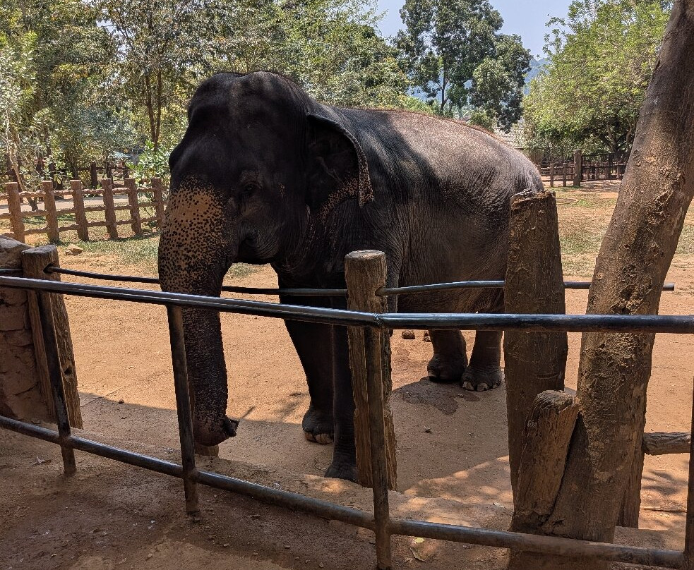Sri Shannon Tours-尼甘布必去景点