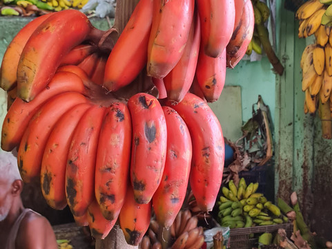 Madurai Inhabitants-马杜赖必去景点