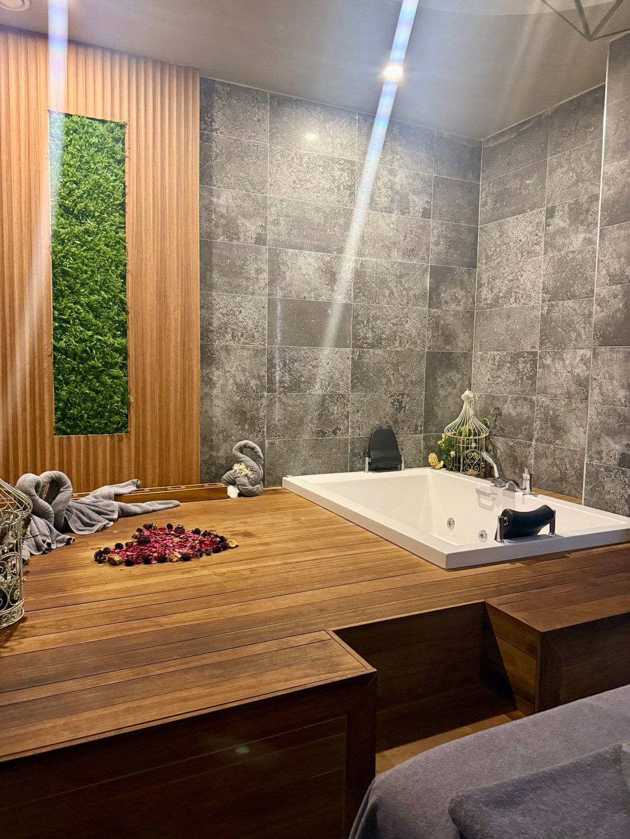 阳光C休息室-限成人-官方