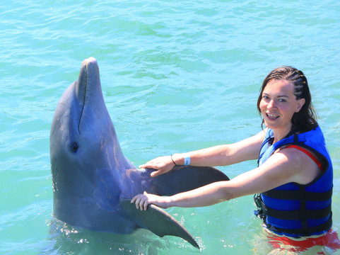 Dolphin Explorer-蓬塔卡纳必去景点