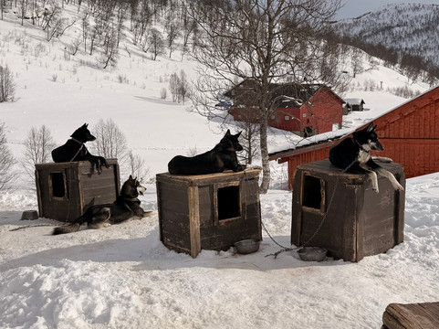 Haukeli Husky-Rauland必去景点