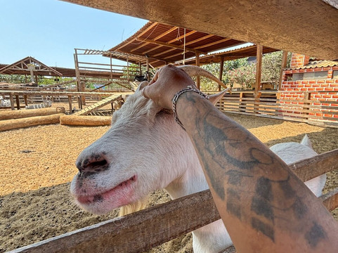 La Granja Villa-利马必去景点