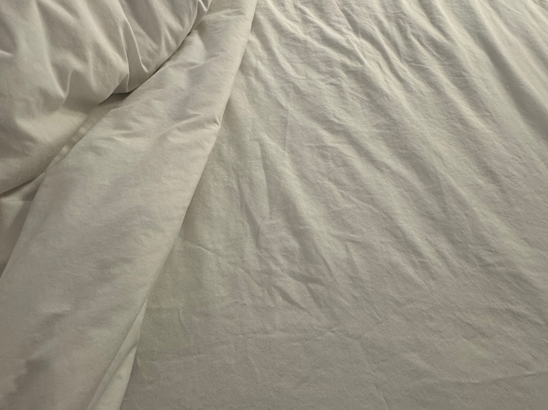 弗雷德里克斯堡玛丽华盛顿凯悦嘉轩酒店主图