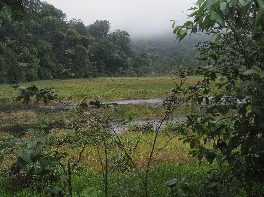 Tapir Valley Nature Reserve-Bijagua de Upala必去景点
