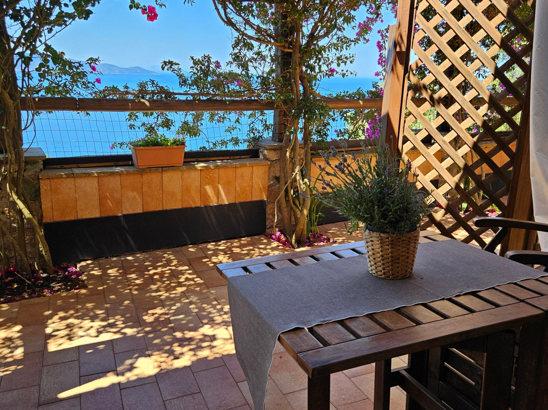 Villino Martina主图