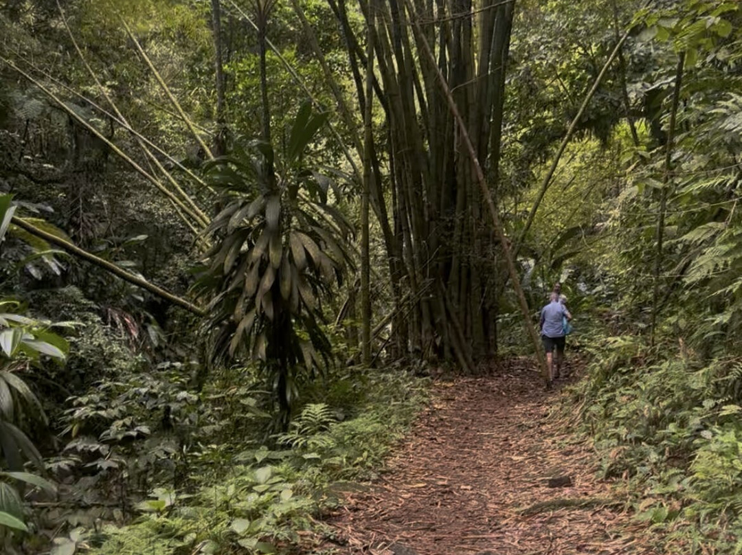 Kalonji Tours & Taxi-Le Lamentin必去景点