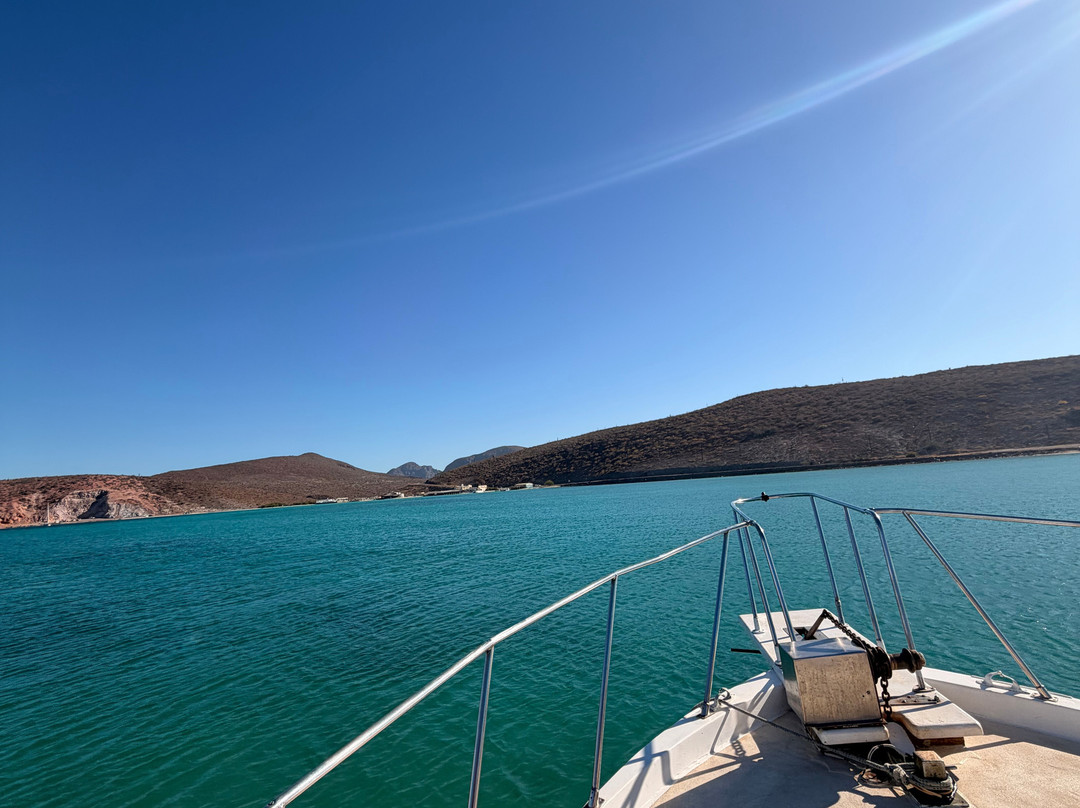 Baja Off Shore-拉巴斯必去景点