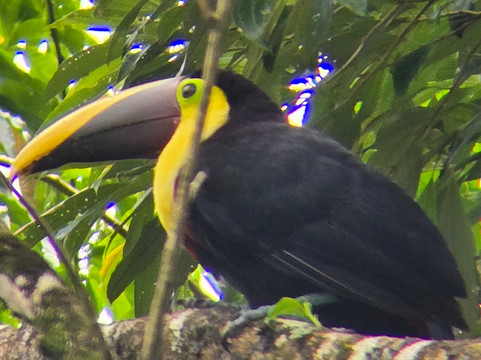 Nature Amazing Tours Costa Rica-Filadelfia必去景点