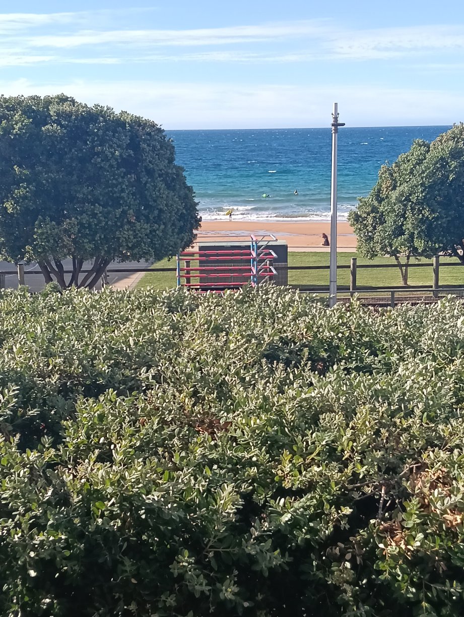 Beachfront Voyager Motor Inn-官方