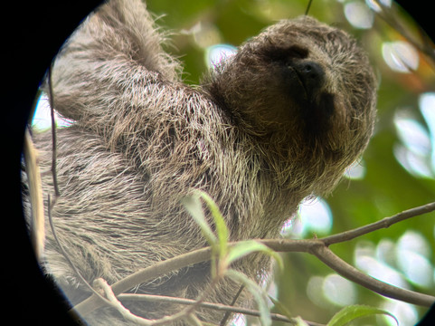 Dees Costa Rica Tours-Playa Flamingo必去景点