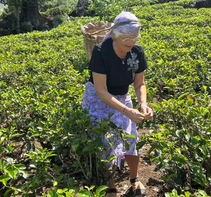 C&C travel Sri Lanka-Minuwangoda必去景点
