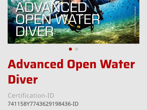 Nico Dives Cool - Day Tours-沙努尔必去景点