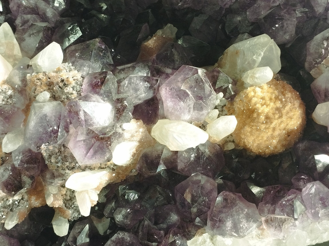 Yamalo-Nenets Okrug Museum and Exhibition Complex Named After I.S. Shemanovsky-Salekhard必去景点