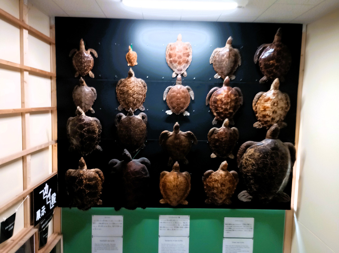 Muroto Haiko Aquarium-室户市必去景点