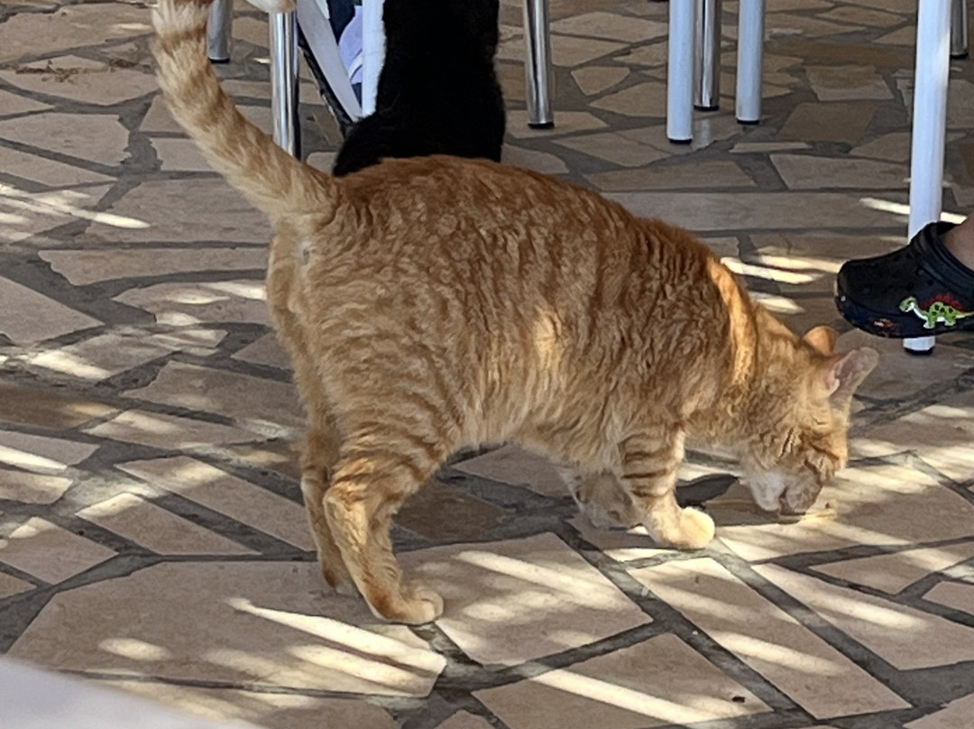 Sveti Jakov Beach-杜布罗夫尼克必去景点