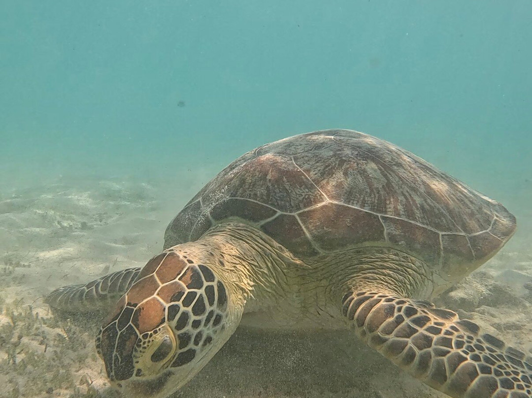 Info Ke Bali-苏卡瓦堤必去景点