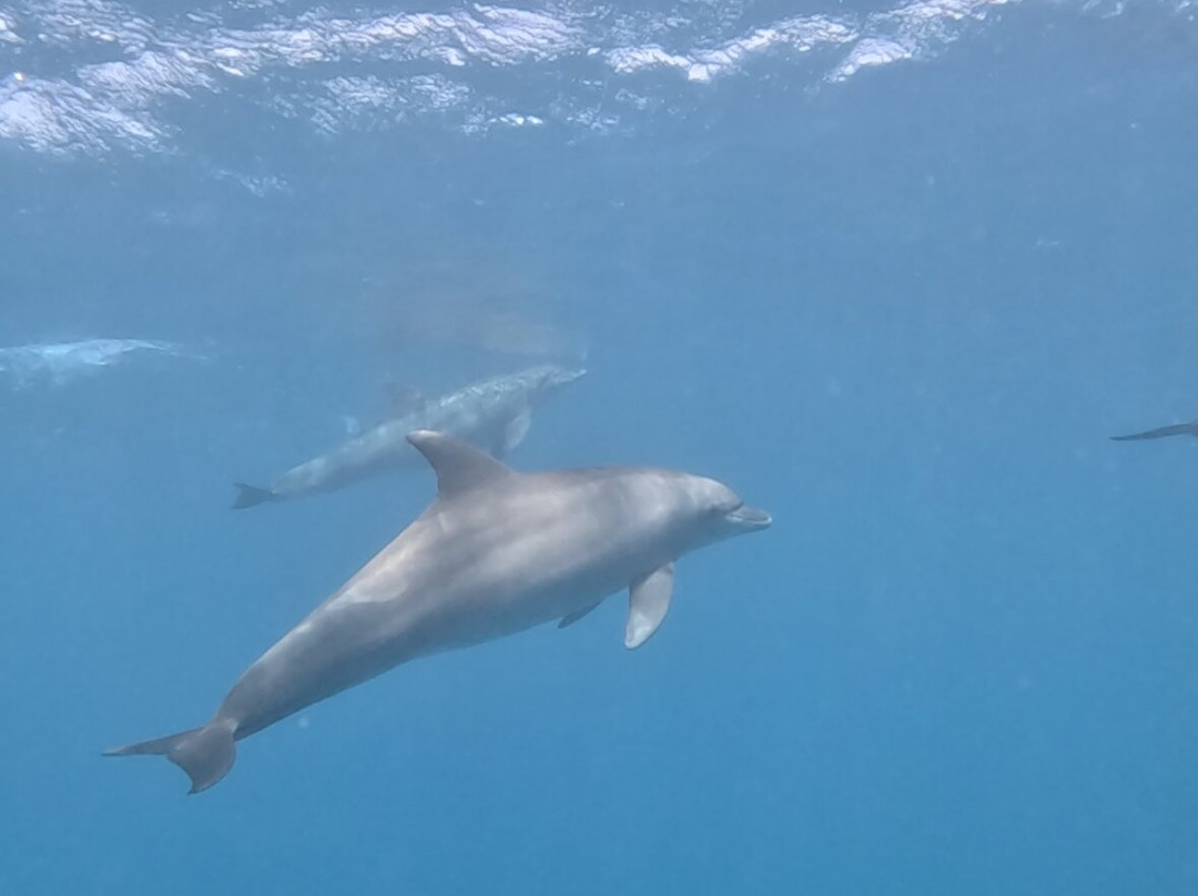 Erlebnis Ägypten-Safaga必去景点