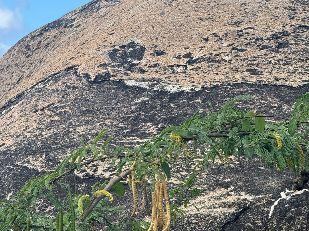 Esperanza Riding Company-维切克岛必去景点