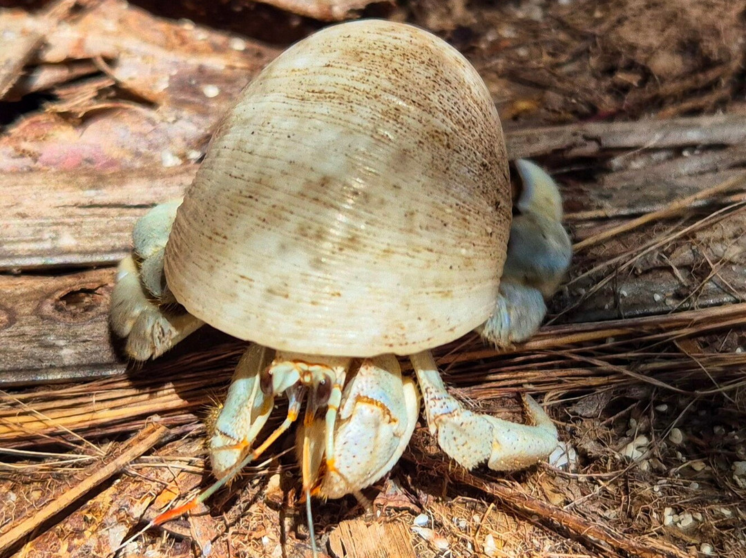 Sunny Trail Guide-拉迪格岛必去景点