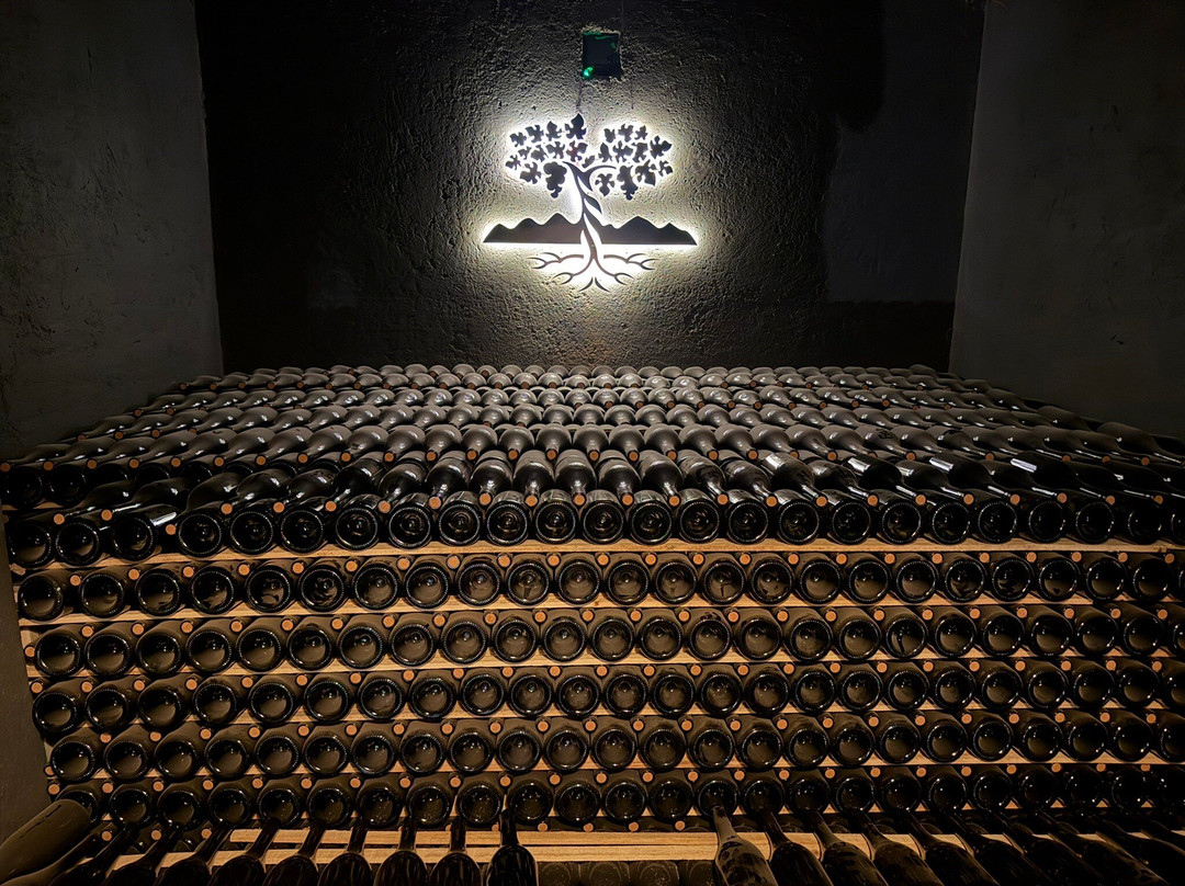 Bodega Norton-路冉得库约必去景点