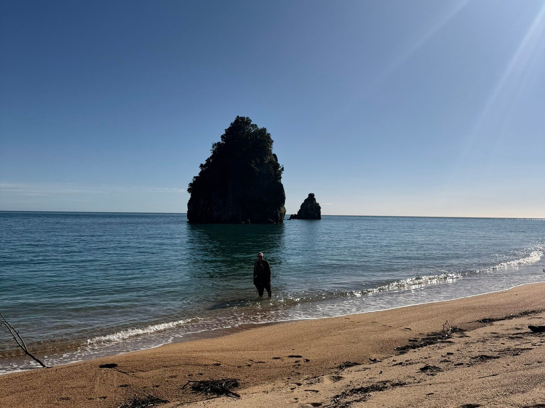 Golden Bay Kayaks-塔卡卡必去景点