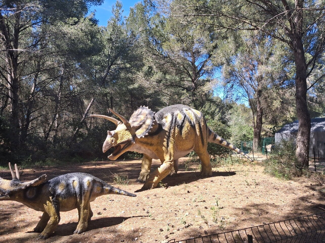 Musee - Parc des Dinosaures-Meze必去景点