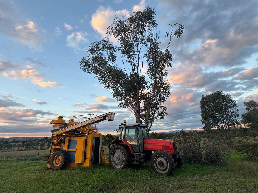 Rosnay Organic Wines of Australia-Canowindra必去景点