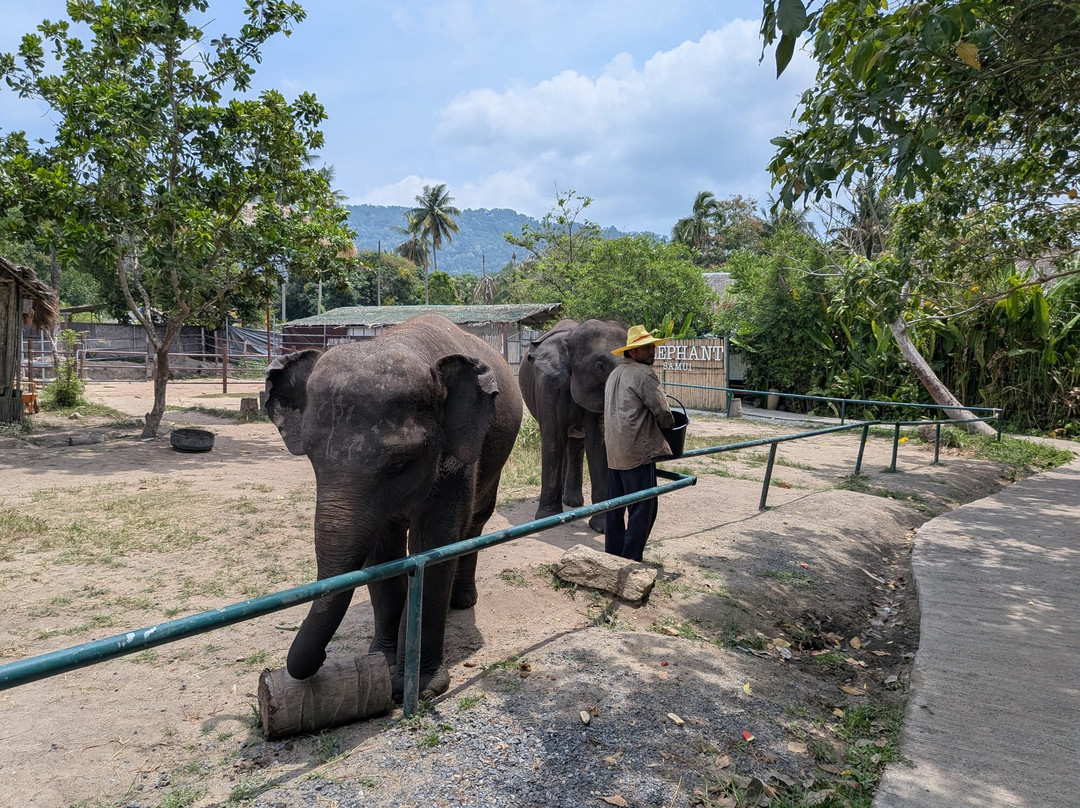 I Love Elephant Samui-Na Mueang必去景点