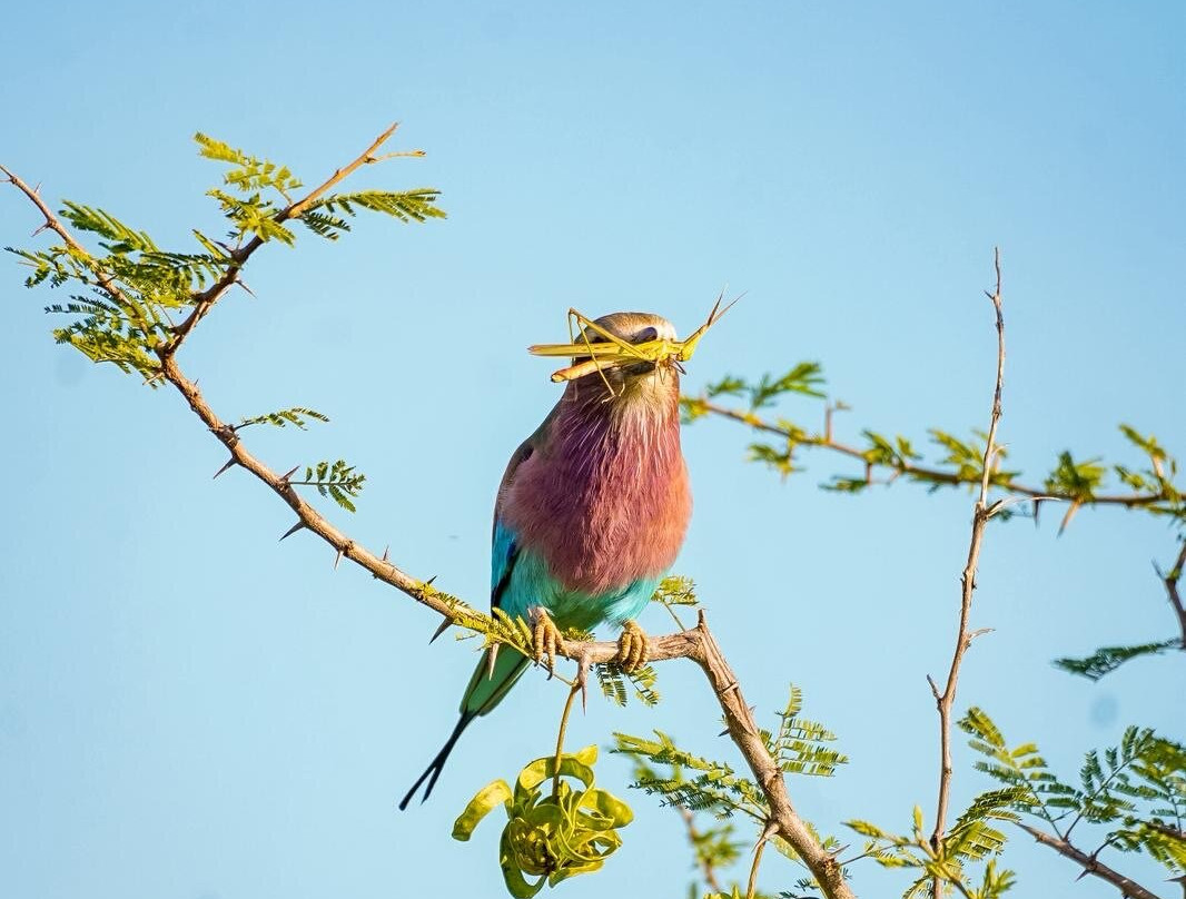 EverseenAfrica-霍德斯普鲁特必去景点