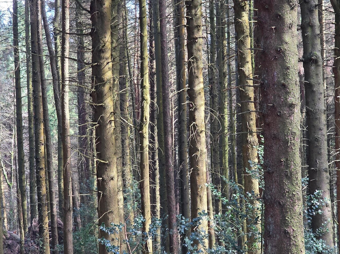 Pendle Hill-Barley必去景点
