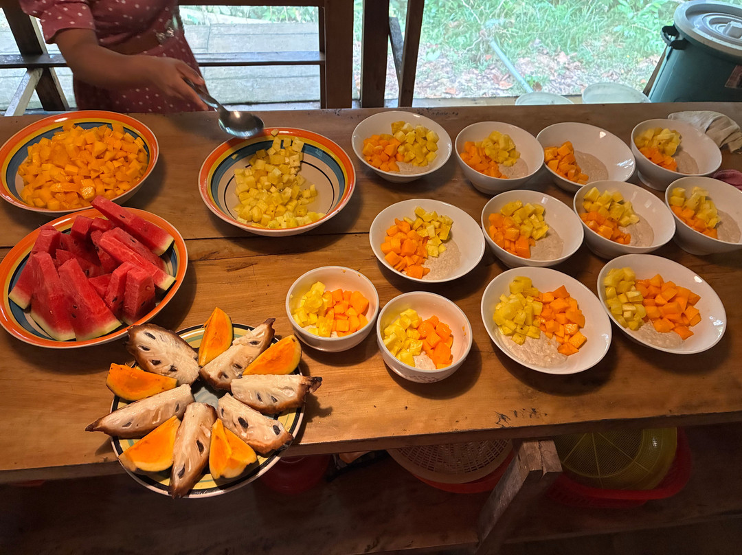 Psychonauta Foundation-伊基托斯必去景点