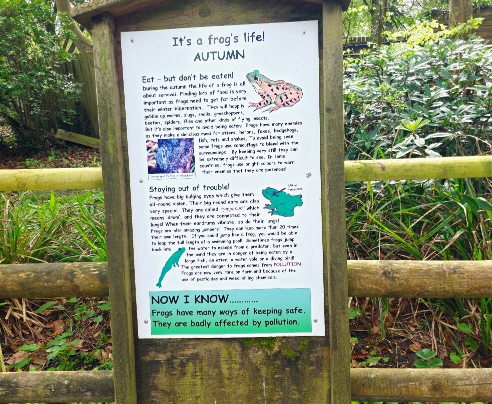 New Forest Wildlife Park-Ashurst必去景点