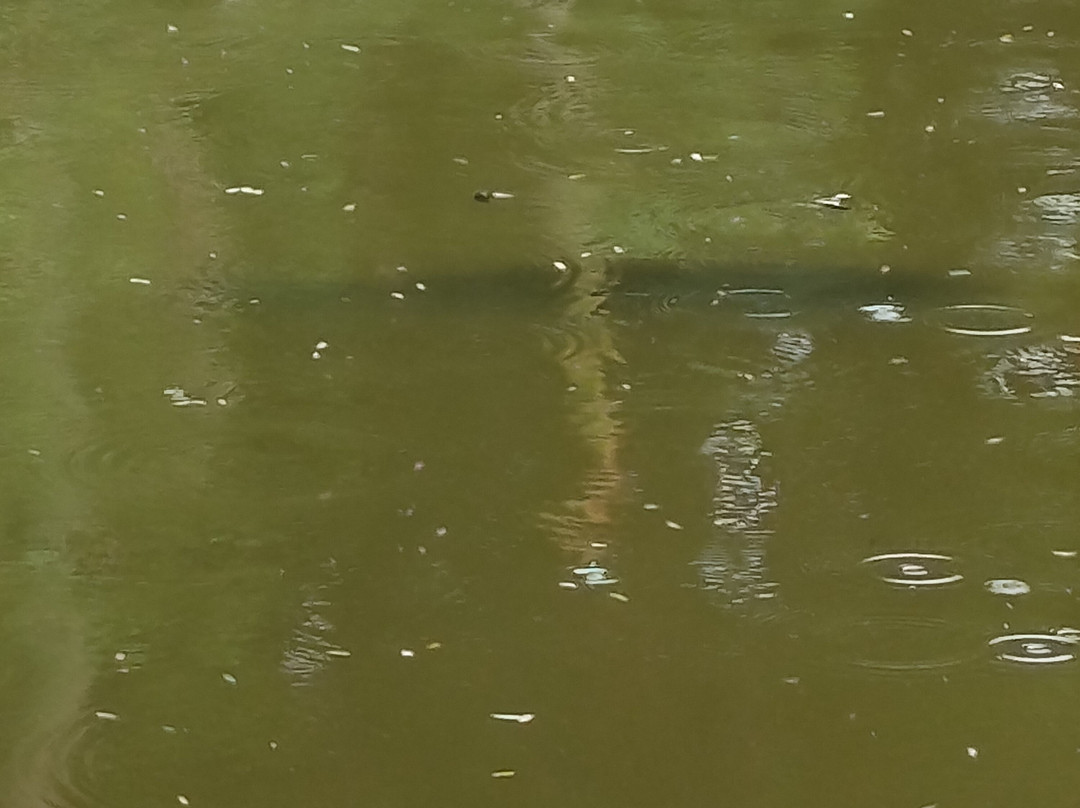 Hotel Fazenda Campo Dos Sonhos主图