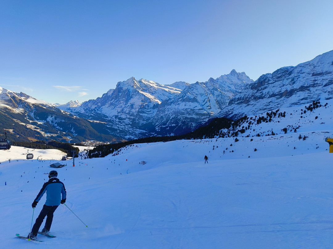 Luftseilbahn Wengen-Männlichen-翁根必去景点