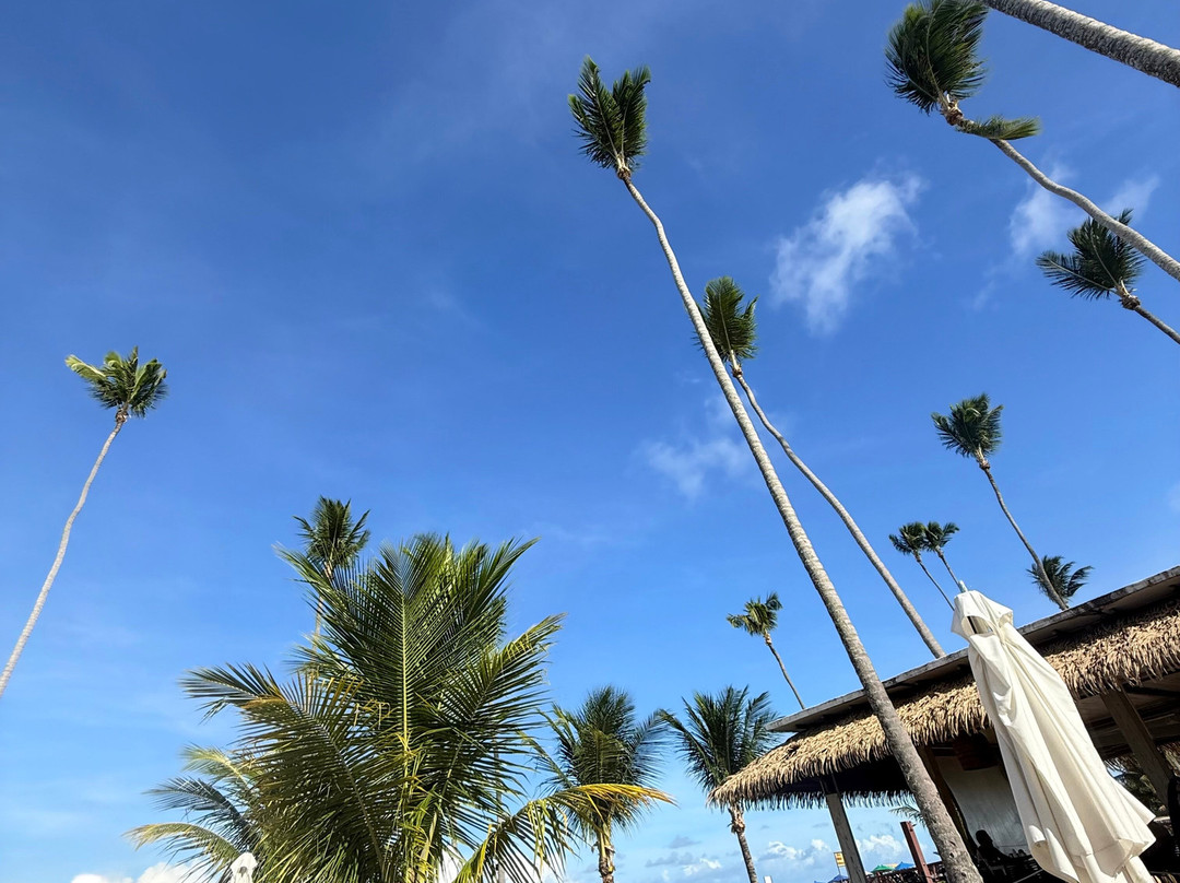 马拉戈日格兰德奥卡全包式度假酒店主图