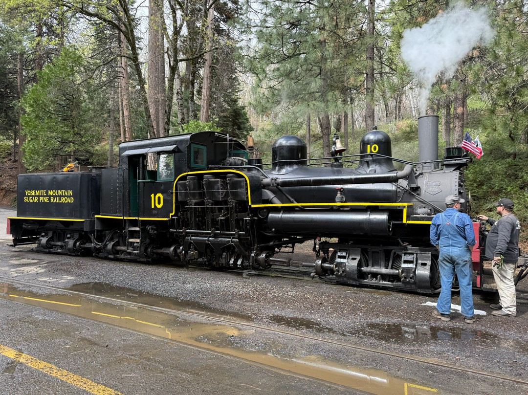 Yosemite Mountain Sugar Pine Railroad-菲什营必去景点