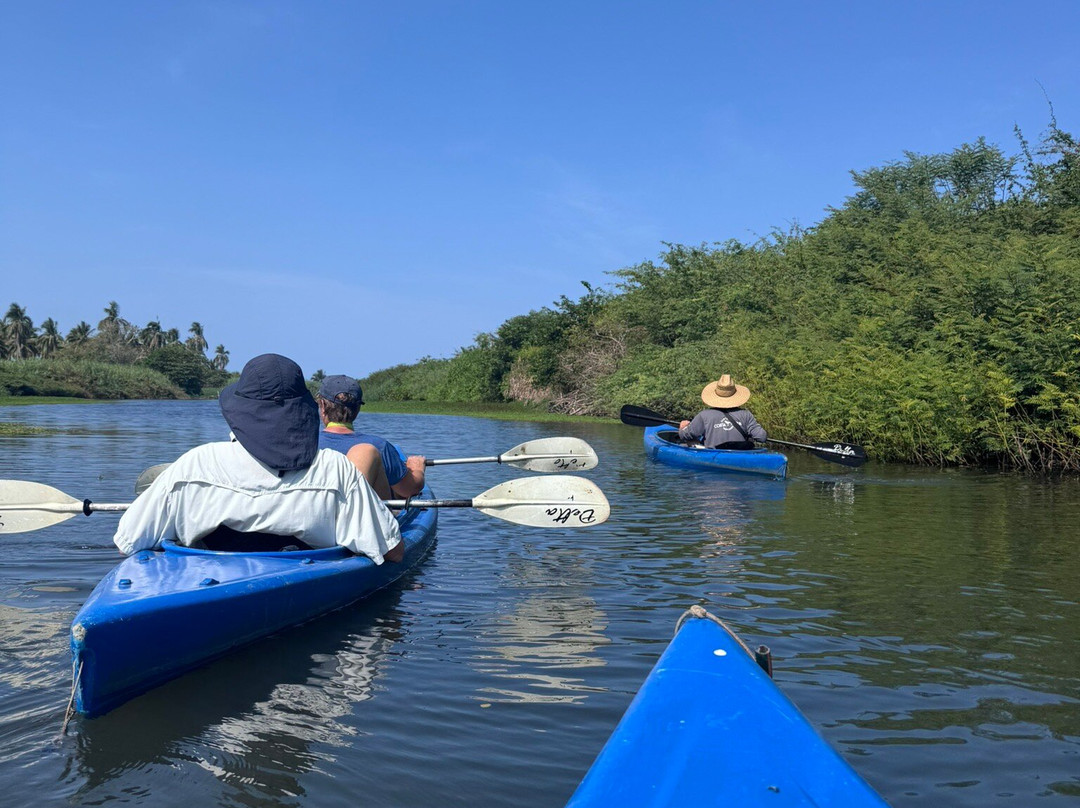 Costa Nativa Ecotours-Troncones必去景点