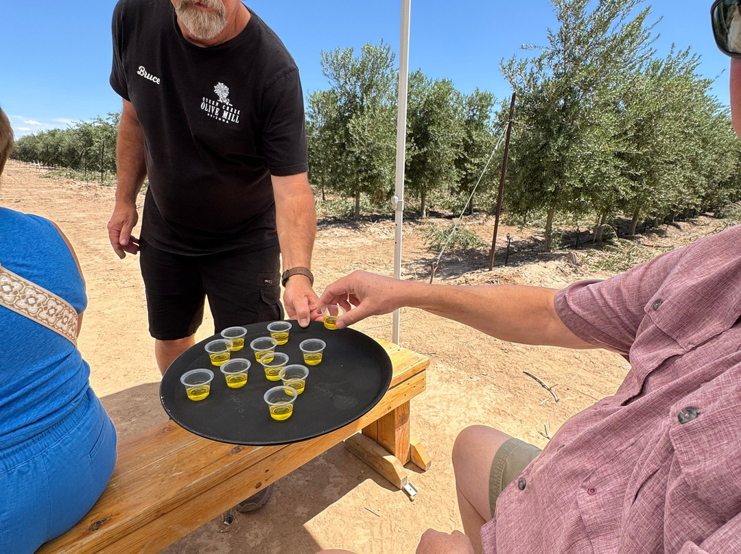 Queen Creek Olive Mill-Queen Creek必去景点