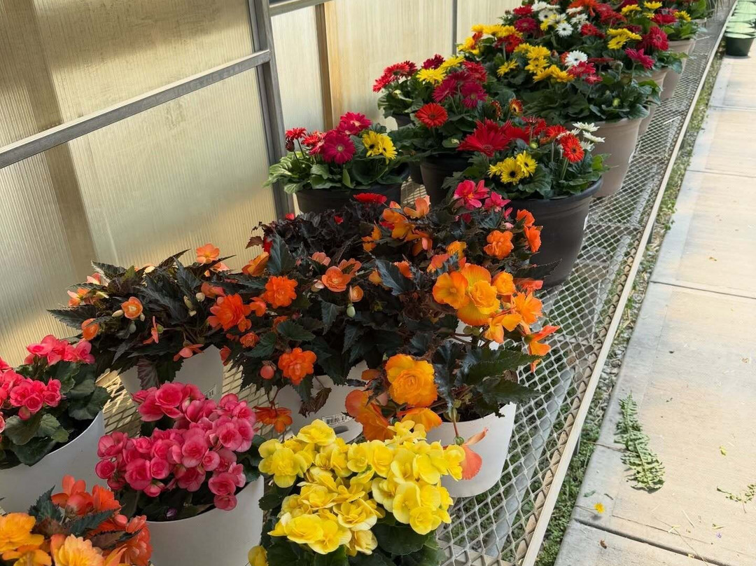 Gatewood Vegetable Farm & Greenhouses, Inc.-Noblesville必去景点