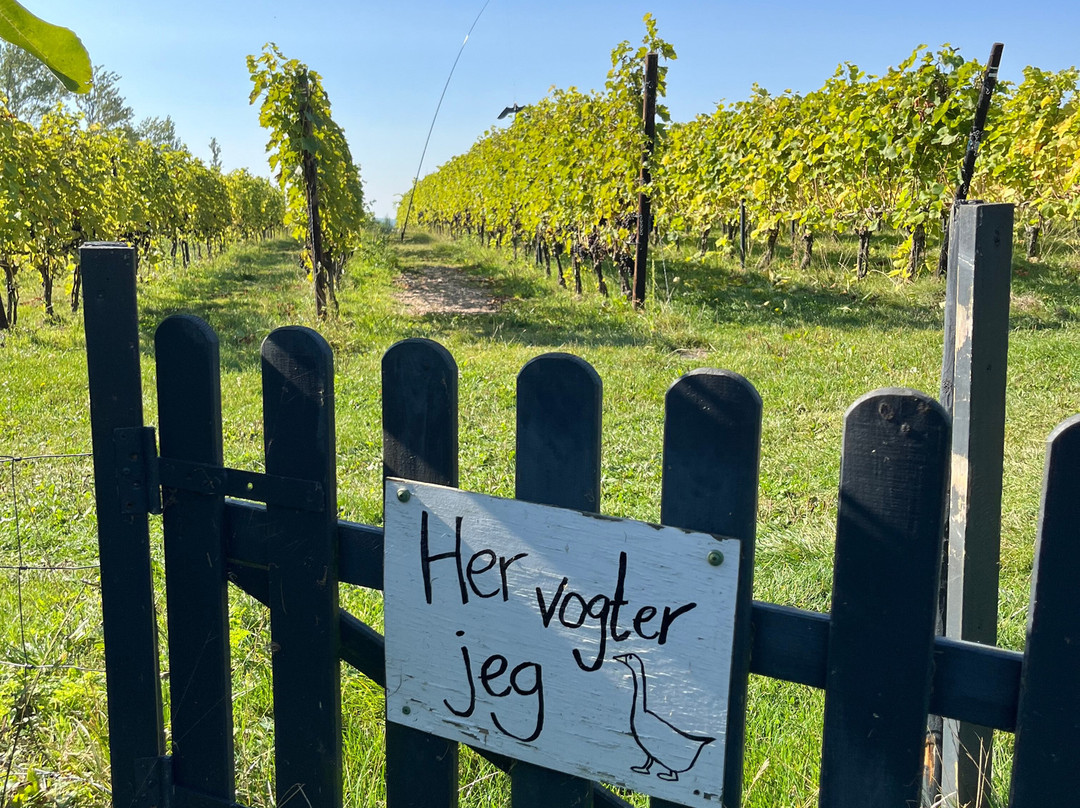 Hideaway Vingard-Vesterby必去景点