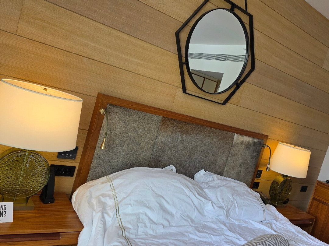 塞尔维亚科帕奥尼克维卡罗伊酒店主图