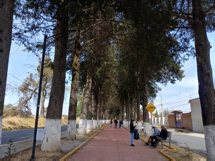 Santuario de las Luciérnagas - Bosque Mágico-Tlaxcala必去景点