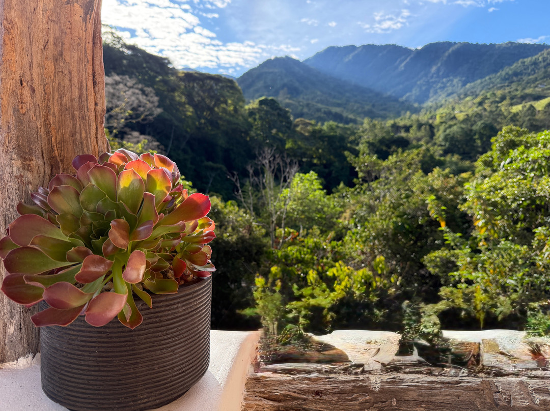 Rainforest Reef Escape-Cabo Matapalo必去景点