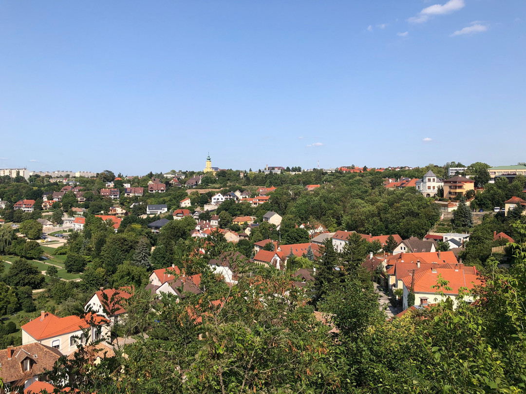 Castle Hill (Veszpremi Varhegy)-维斯普雷姆必去景点