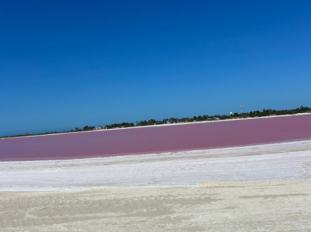 Las Coloradas-里奥拉加托斯必去景点
