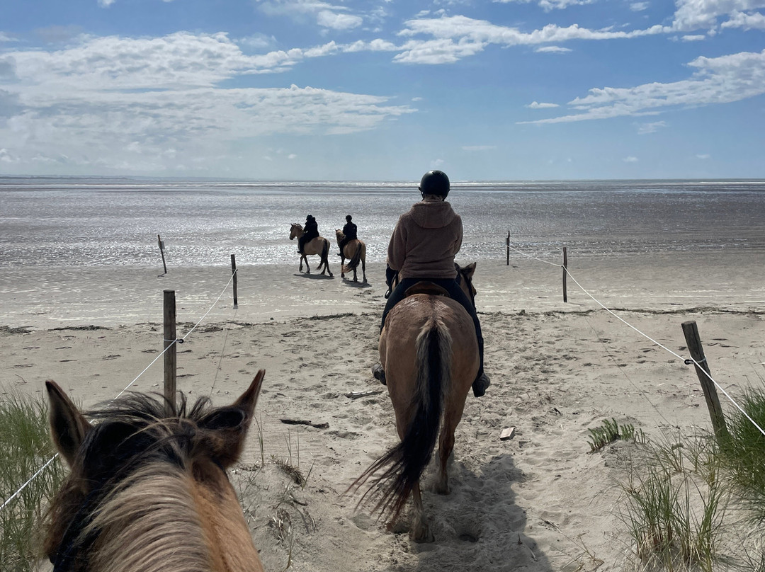 Espaces Equestres Henson-Saint-Quentin-en-Tourmont必去景点