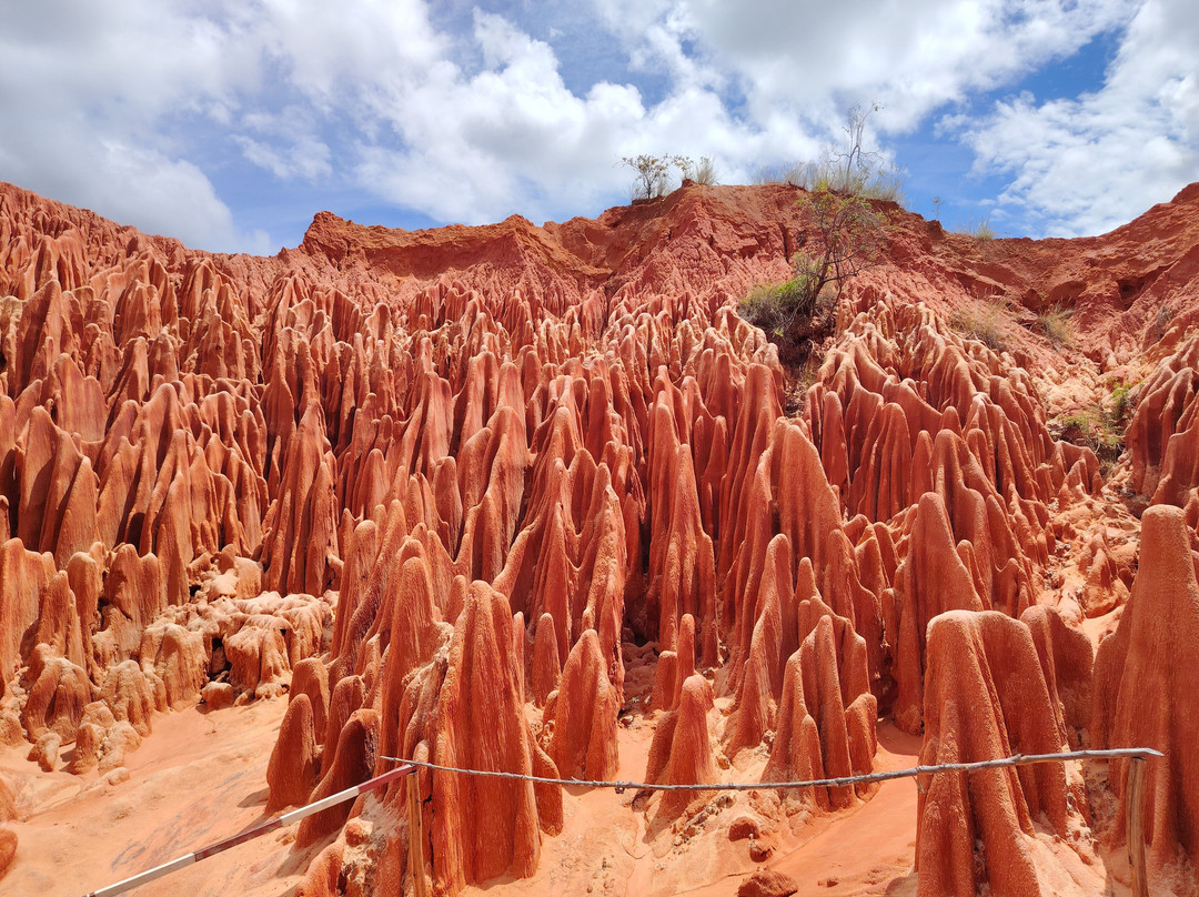 Madagascar Visite Company-安塔那那利佛必去景点