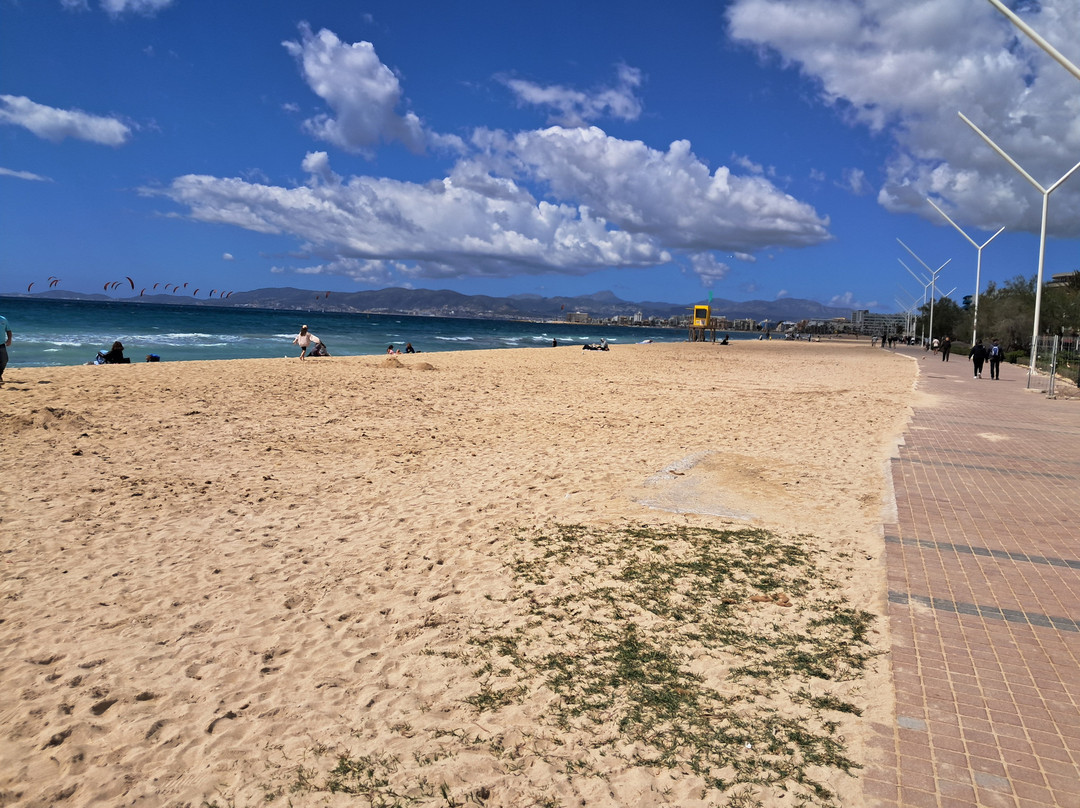 Platja de Palma-马洛卡帕尔马必去景点