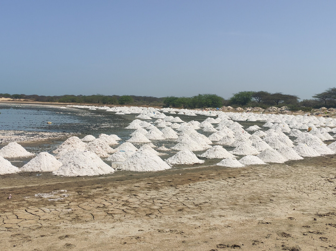 Senegal Raggi di Sole-达喀尔必去景点